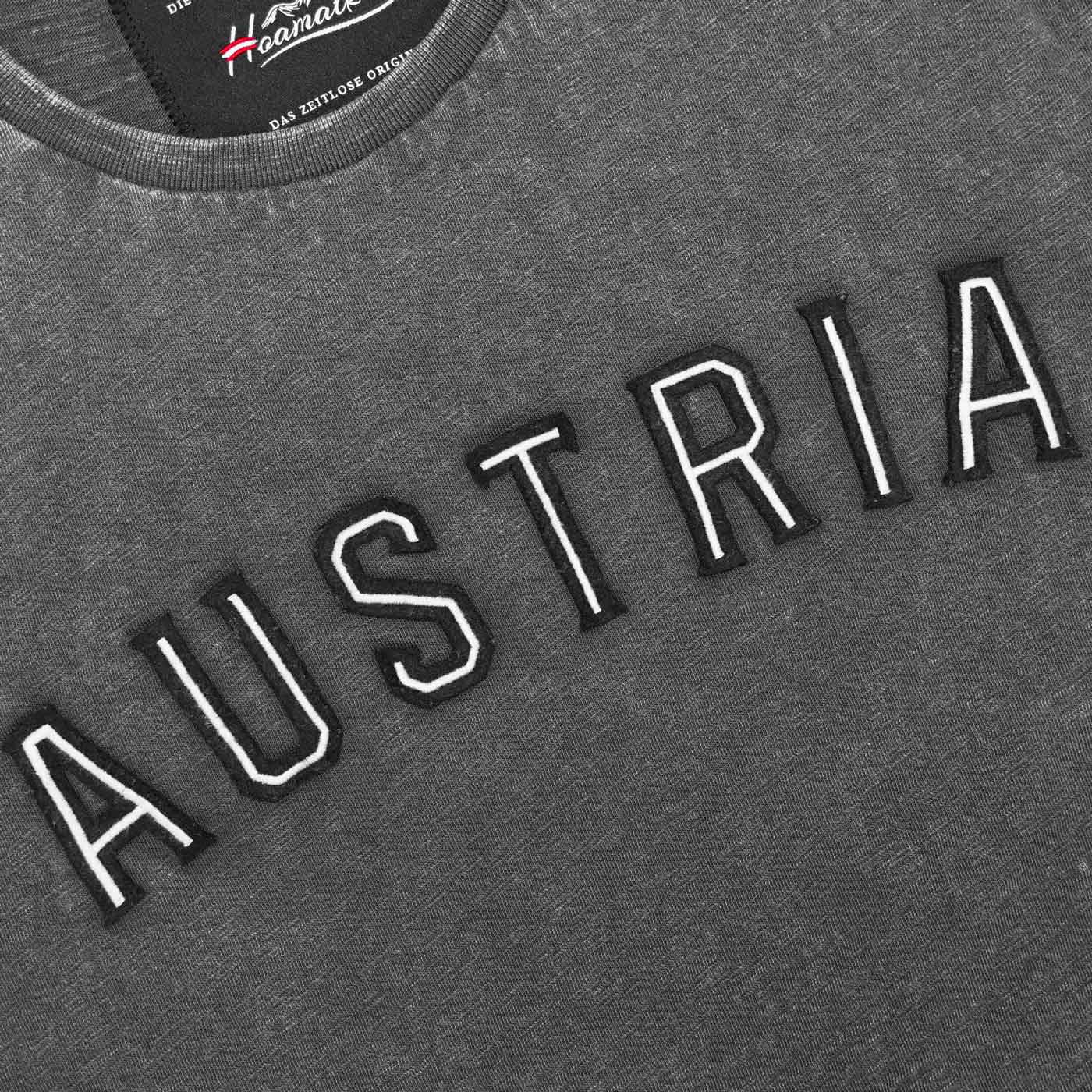 Austria Detail Herren Shirt