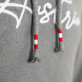 Austria Vintage Hoodie - Hellgrau