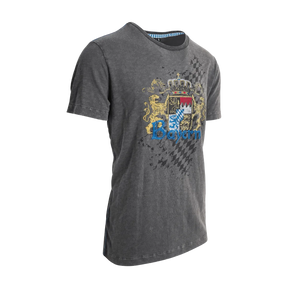 Bayern T-Shirt Herren grau