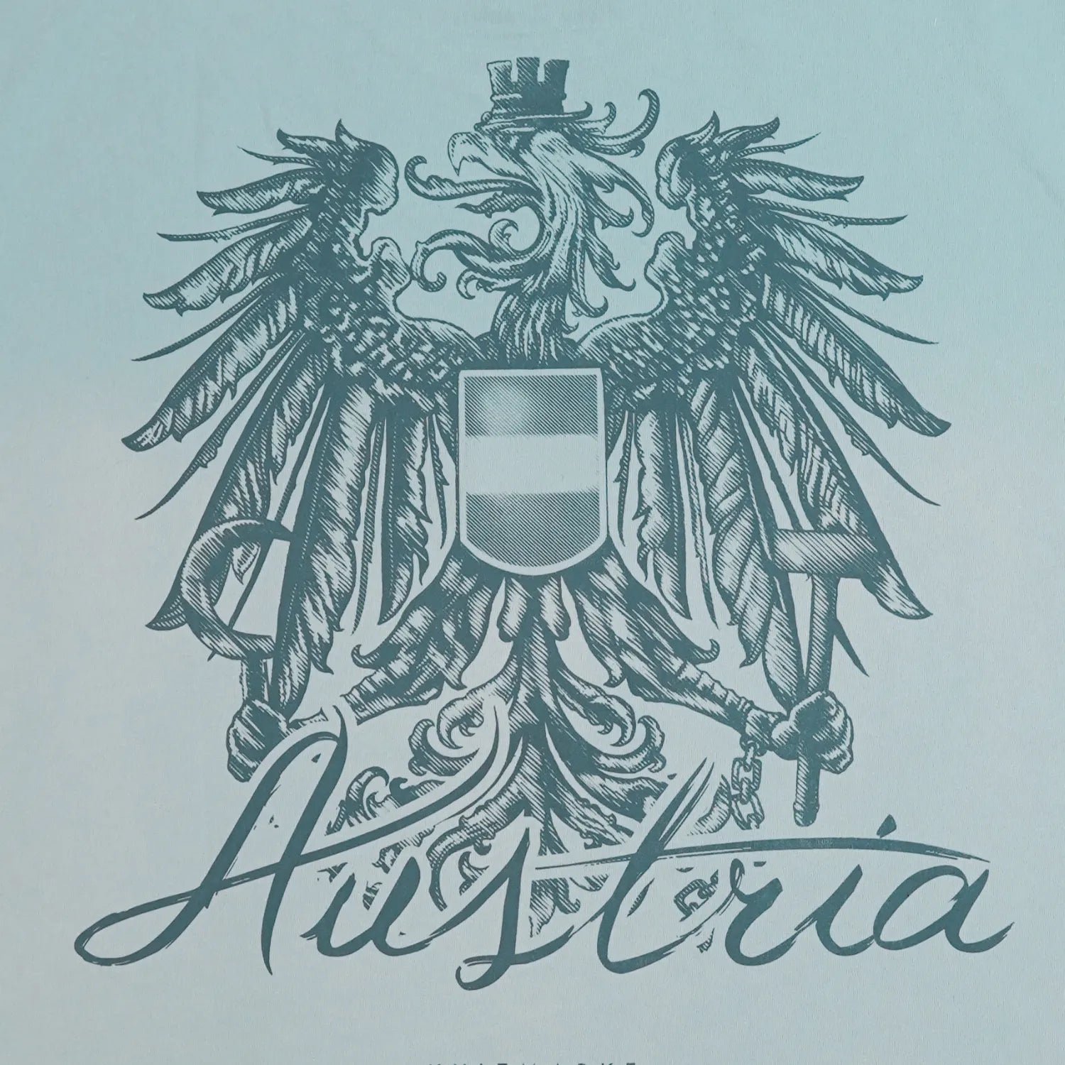 Österreich Oversize T-Shirt - Alpen Republic