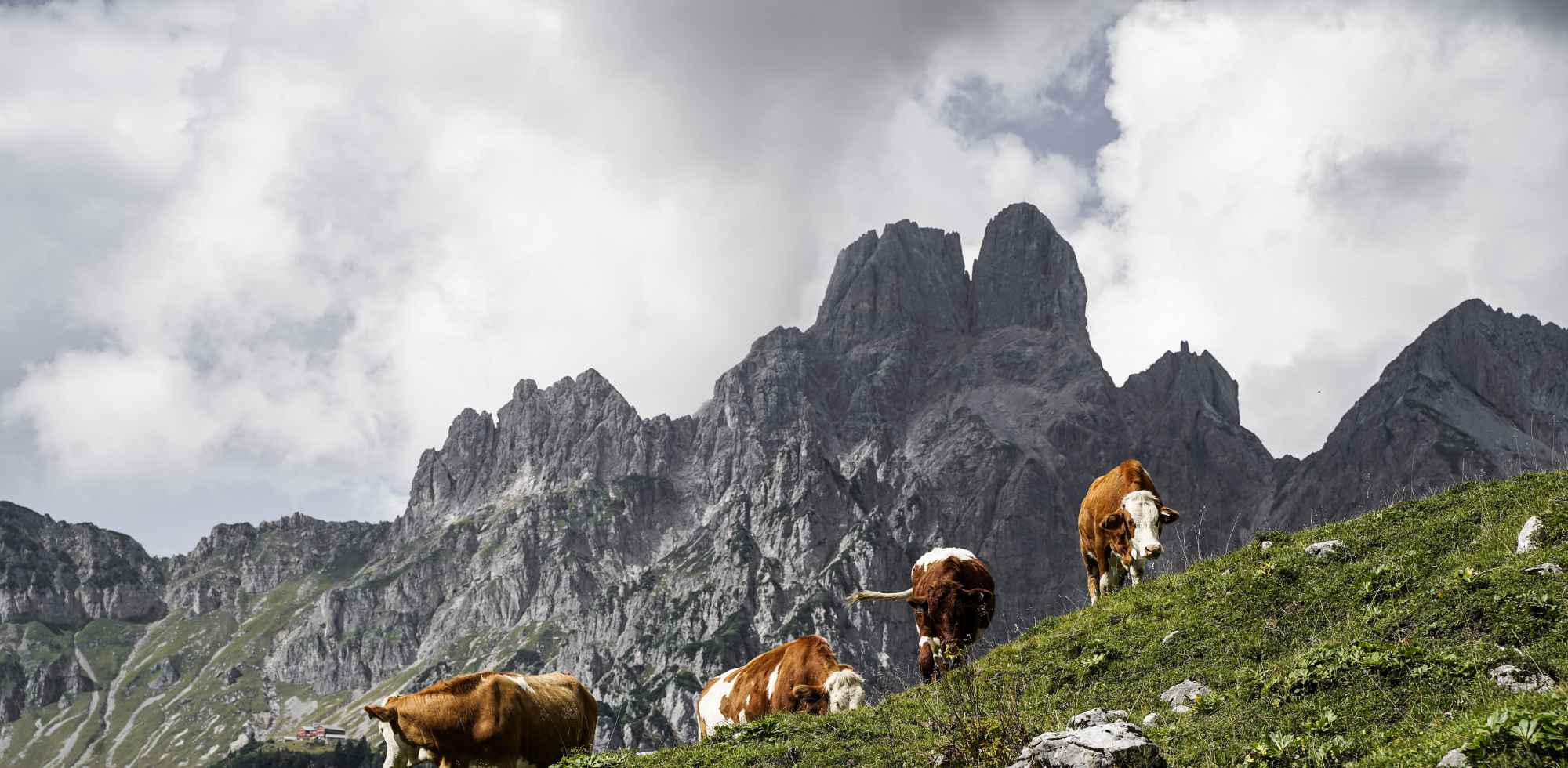 Österreich Berge