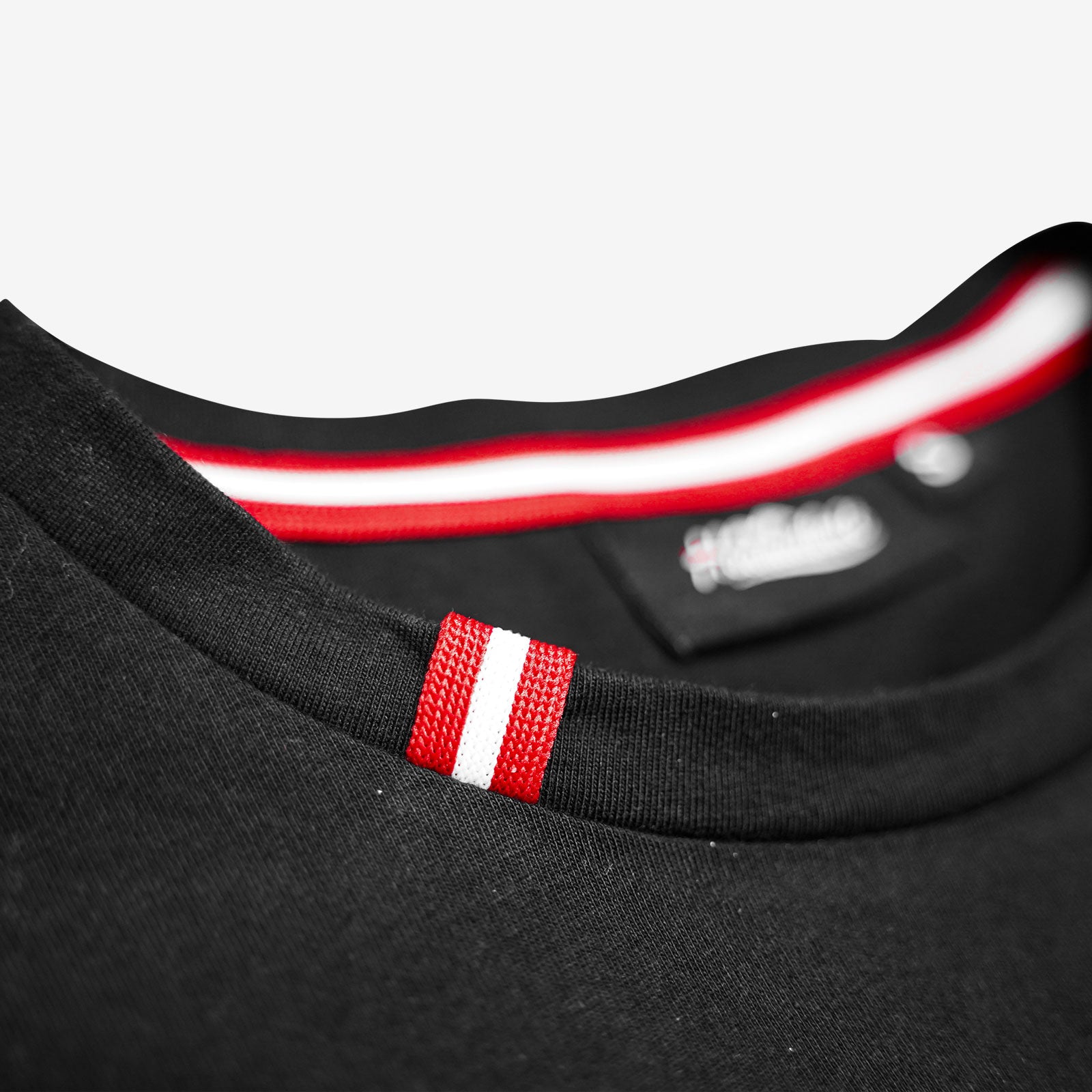 Österreich Detail Herren T-Shirt