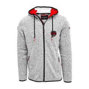 Österreich Hoodie Herren hellgrau