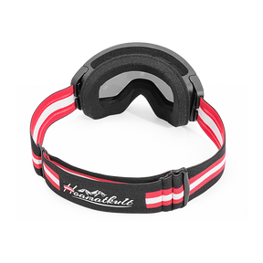 Skibrille silber Österreich