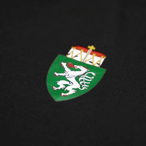 Steiermark Wappen Shirt Herren