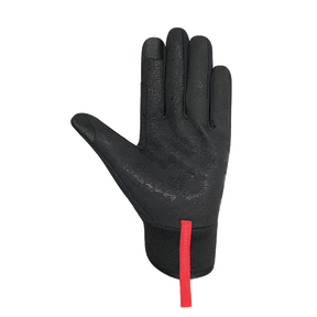 Winter Softshell Handschuh Austria