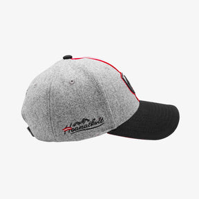 Filz Kappe mit Österreich Logo