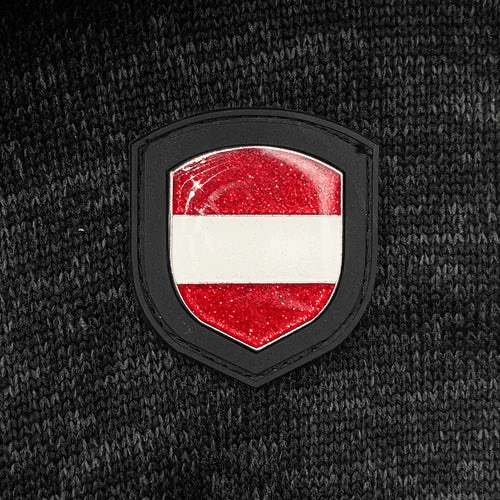 Österreich Metall Aufnäher